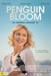 Penguin Bloom (2020) เพนกวิน บลูม doomovie