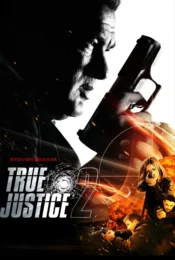 ดูหนังออนไลน์ True Justice 2012 ปฏิบัติการฆ่าไร้เงา doomovie-hd