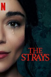 ดูหนังใหม่ NETFLIX The Strays 2023 คนหลงทาง doomovie-hd